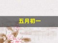 五月初一(五月初一出生的女孩有什么说法)