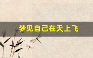 梦见自己在天上飞(梦见飞在空中)