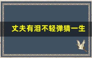 丈夫有泪不轻弹猜一生肖(丈夫有泪不轻弹解一肖)