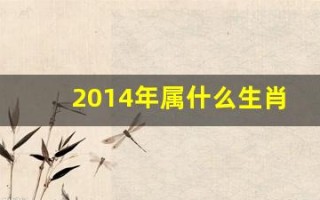 2014年属什么生肖(2015年属什么生肖)