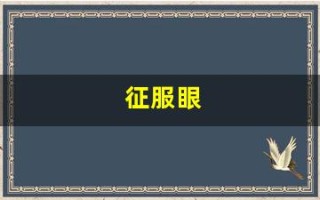 征服眼(征服眼电子狗使用教程)