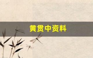 黄贯中资料(黄贯中资料个人资料)