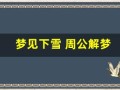 梦见下雪 周公解梦(梦见下雪是什么意思周公解梦网)
