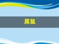 属鼠(属鼠的几月出生最好命)