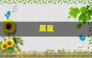 属鼠(属鼠的几月出生最好命)