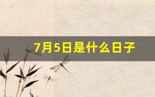 7月5日是什么日子(7月5日是什么日子农历)