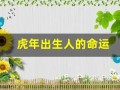 虎年出生人的命运(虎年出生人的命运如何)