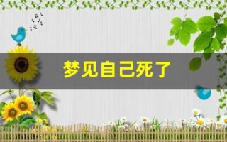 梦见自己死了(到处跑)