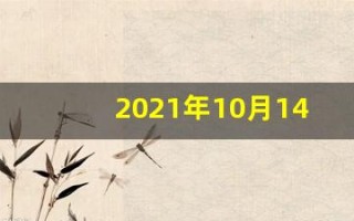 2021年10月14日五行穿衣(2021年10月14日五行穿衣服)