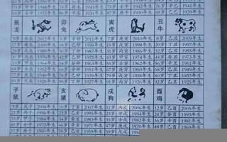 属鼠2024年家破人亡(属鼠2024年家破人亡运势如何)