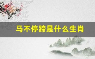 马不停蹄是什么生肖(马不停蹄是什么生肖数字)
