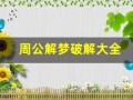 周公解梦破解大全(周公解梦破解大全免费查询 原版)