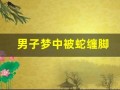 男子梦中被蛇缠脚(男子梦中被蛇缠脚怎么回事)