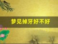 梦见掉牙好不好(梦见掉牙好不好视频)