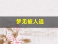 梦见被人追(梦见被人追逃跑是什么征兆)