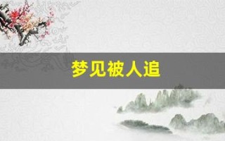 梦见被人追(梦见被人追逃跑是什么征兆)