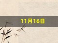 11月16日(11月16日是阳历几月几号)
