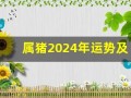 属猪2024年运势及运程详解(属猪2024年运势及运程详解95)