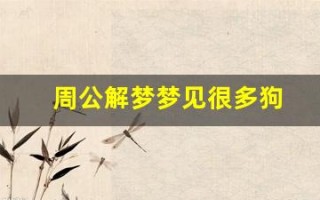 周公解梦梦见很多狗(周公解梦梦见很多狗围着我)