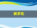 解梦蛇(解梦蛇咬我)