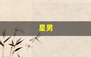 星男(星野爱)