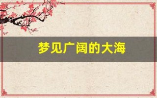 梦见广阔的大海(梦见好大好大的海)
