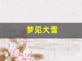 梦见大雪(梦见大雪纷飞预示着什么)