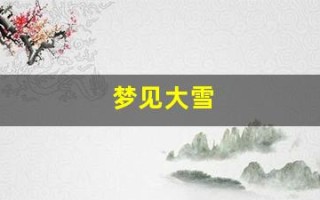 梦见大雪(梦见大雪花是什么预兆)