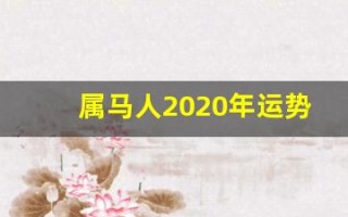 属马人2020年运势(1990年属马人2025年运势)