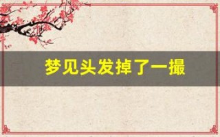梦见头发掉了一撮(梦见头发掉了一撮头露个洞什么意思)