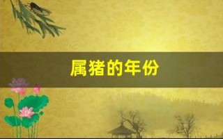 属猪的年份(属猪的年份对照表)