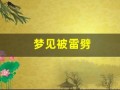 梦见被雷劈(梦见被雷劈中却没有死周公解梦)