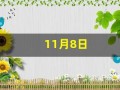 11月8日(11月8日是什么日子)