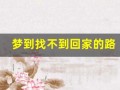 梦到找不到回家的路(最后各种绕小道终于回家了)