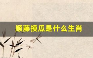 顺藤摸瓜是什么生肖(正确答案是什么生肖)