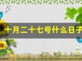 十月二十七号什么日子(十月二十七号什么日子关于政治)