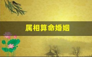 属相算命婚姻(属相测婚姻)