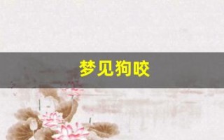 梦见狗咬(梦见狗咬自己的手)