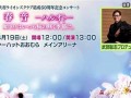 4月19(4月19是什么星座呀)
