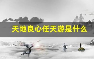 天地良心任天游是什么生肖(什么叫天地良心)