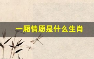 一厢情愿是什么生肖(一厢情愿是哪个生肖)