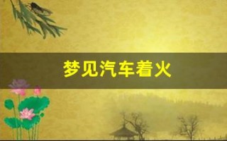 梦见汽车着火(梦见自己的车子被火烧是怎么回事)