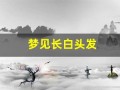 梦见长白头发(梦见长白头发是什么意思女人)