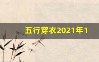 五行穿衣2021年12月13日(五行穿衣12月12日每日分享)