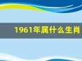 1961年属什么生肖(农历1961年属什么生肖)