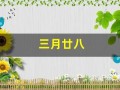 三月廿八(三月廿八是几号)