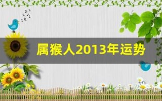 属猴人2013年运势(2013年属猴的虚岁多大)