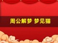 周公解梦 梦见猫(周公解梦梦见猫抓老鼠)