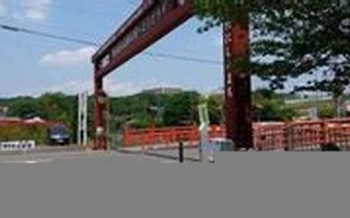 2015年11月19日(2015年11月19日农历是多少号)