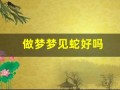做梦梦见蛇好吗(做梦梦见蛇好吗周公解梦)